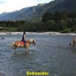 kwo-villa-activiteiten-karinthie-oostenrijk-21-paardrijden-schneider