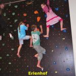 kwo-villa-activiteiten-kinderen-karinthie-oostenrijk-09-klimmen-erlenhof