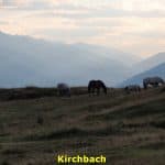 kwo-villa-kirchbach-karinthie-oostenrijk-10-kaasmakerij
